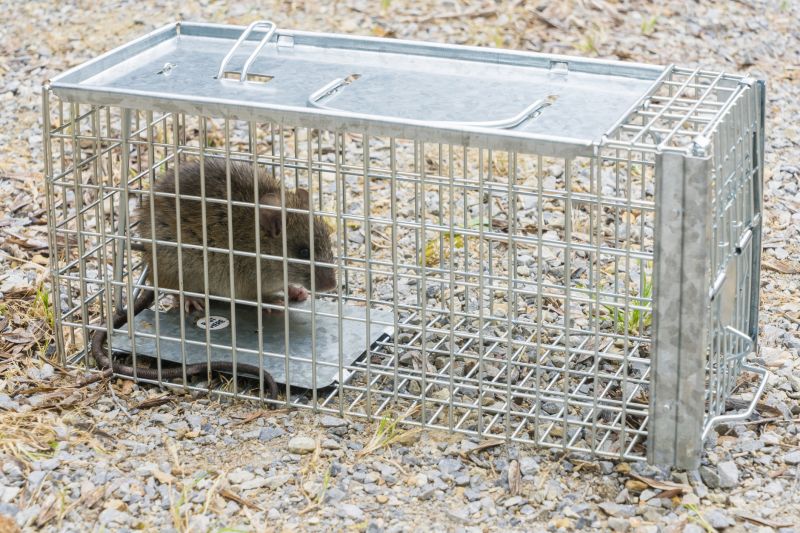 Animal Trapping Service